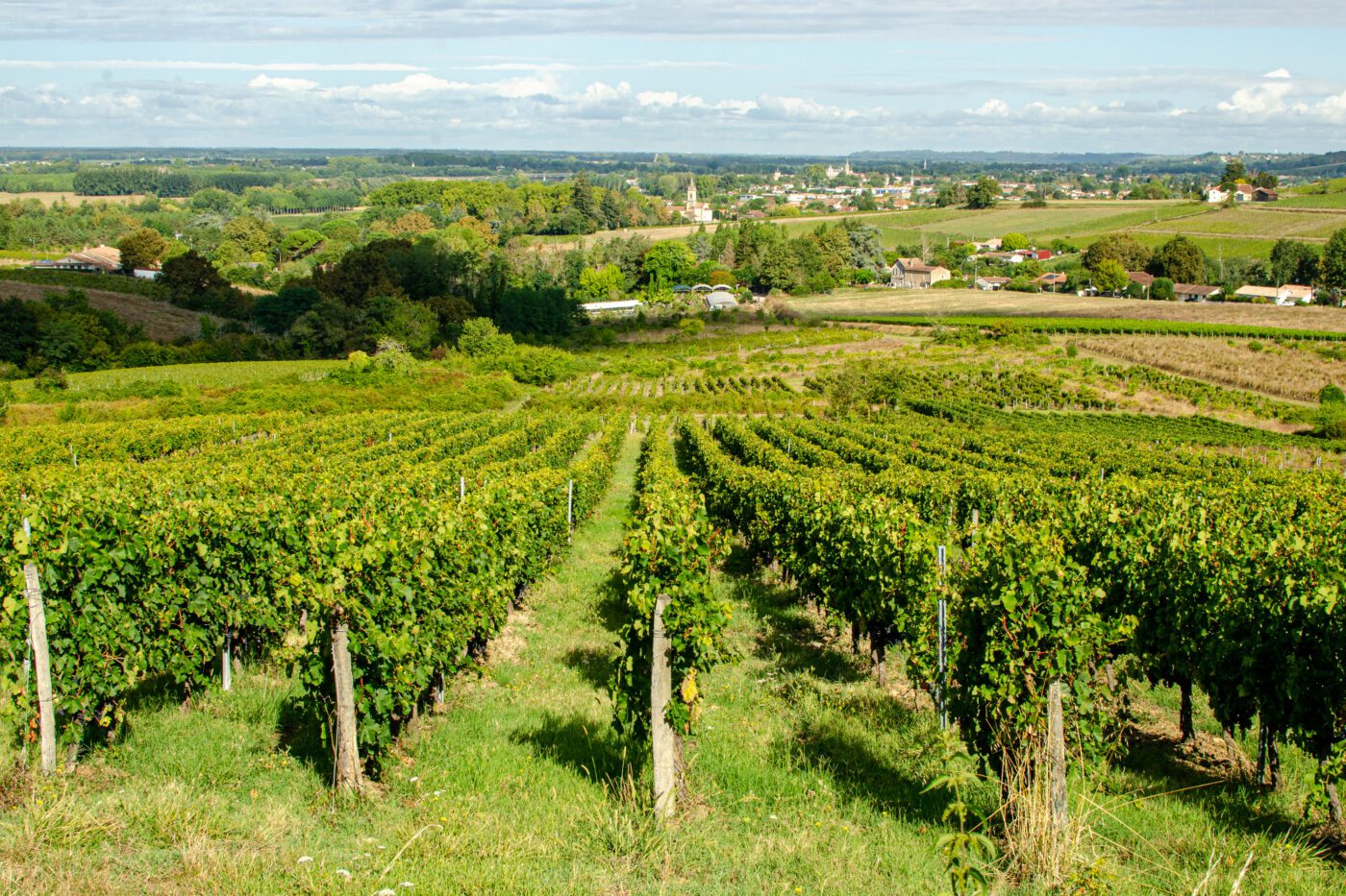 Château Peybrun